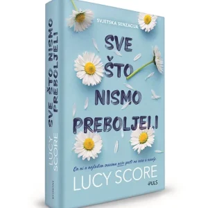 sve sto nismo preboljeli